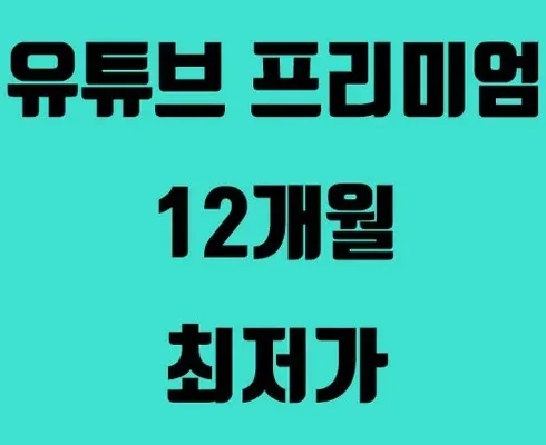 백화점에서 난리난 유튜브프리미엄 추천상품