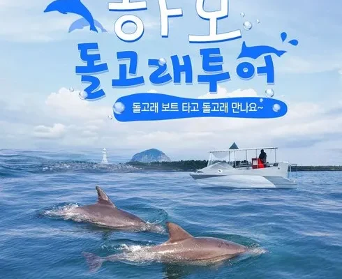 정말 놓치기 아까운 제주도돌고래투어 추천드립니다