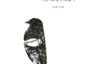 엄마들 사이에서 난리난 류시화시집 베스트 상품