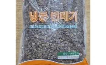 가성비 끝판왕 번데기4kg 베스트 상품