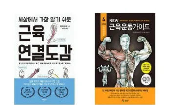 합리적인 당신을 위한 근육연결도감 베스트8